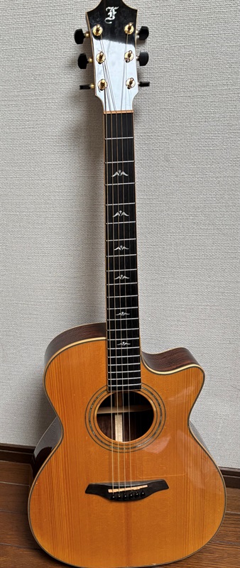 Furch OM23-AGCT ELITEの画像